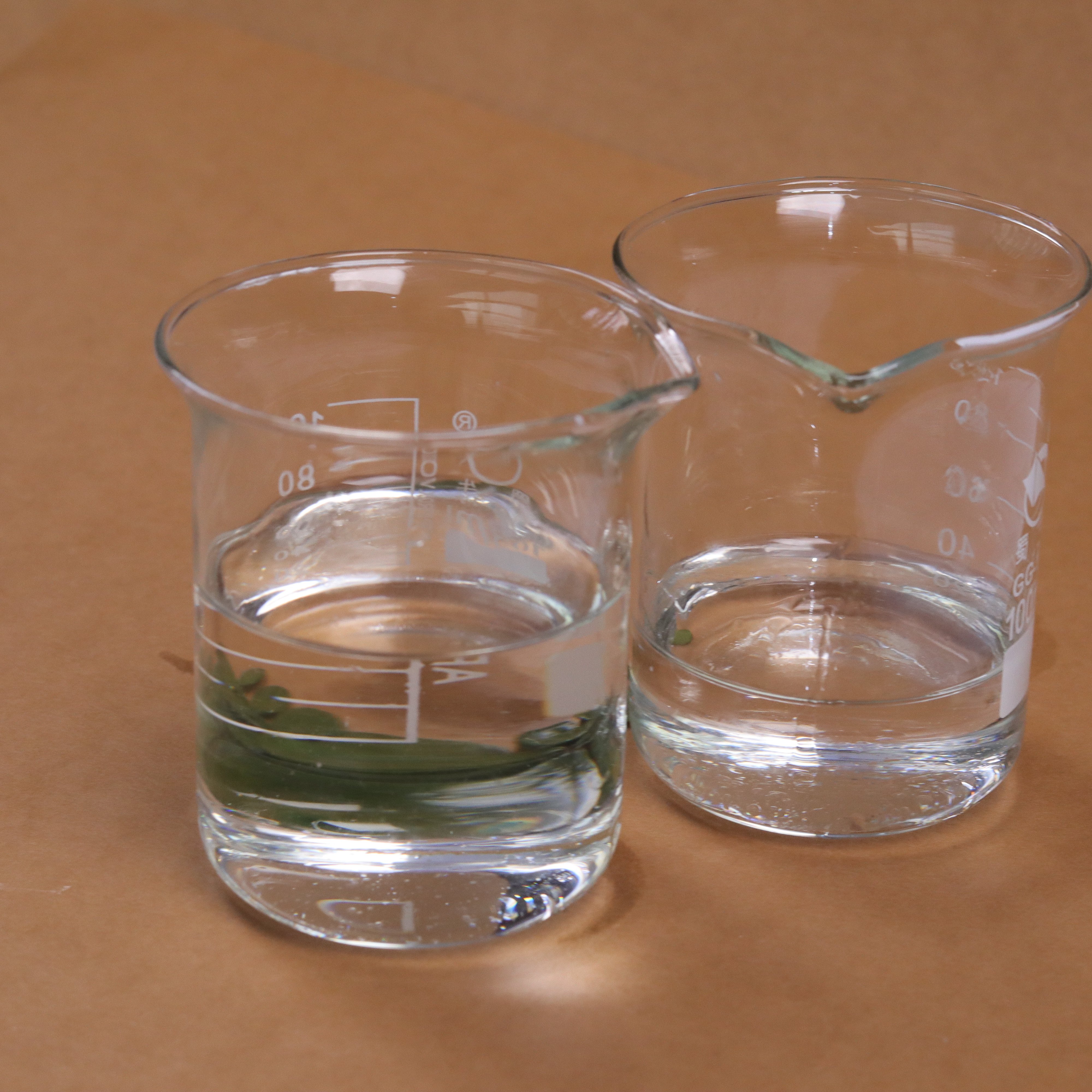 Cosmetic Grade Isopropyl Myristate 98% Purity Daily Chemicals CAS 110-27-0 IPM Isopropyl Myristate at Competitive Price
