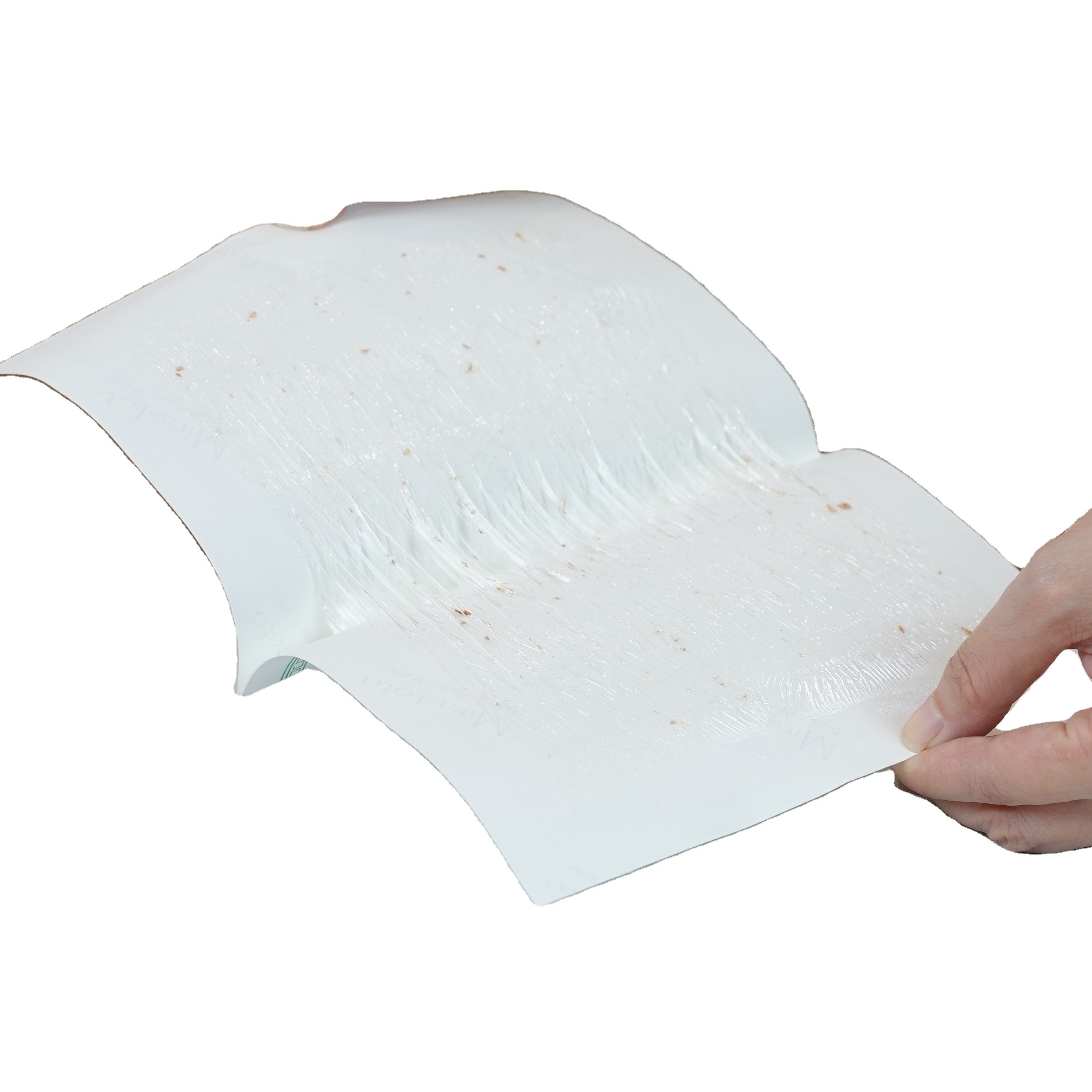 Fashionable disposable sticky fly trap paper catcher fly trap