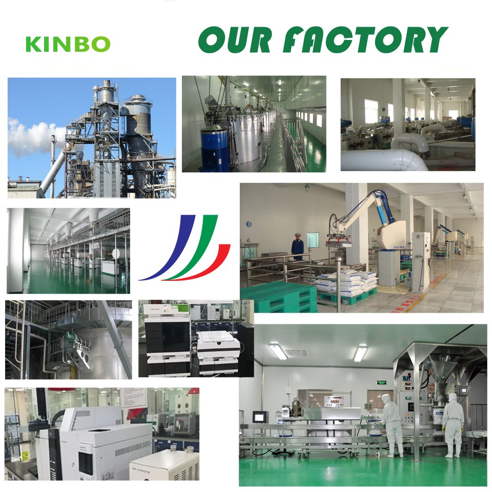 China Manufacturer CMC Powder