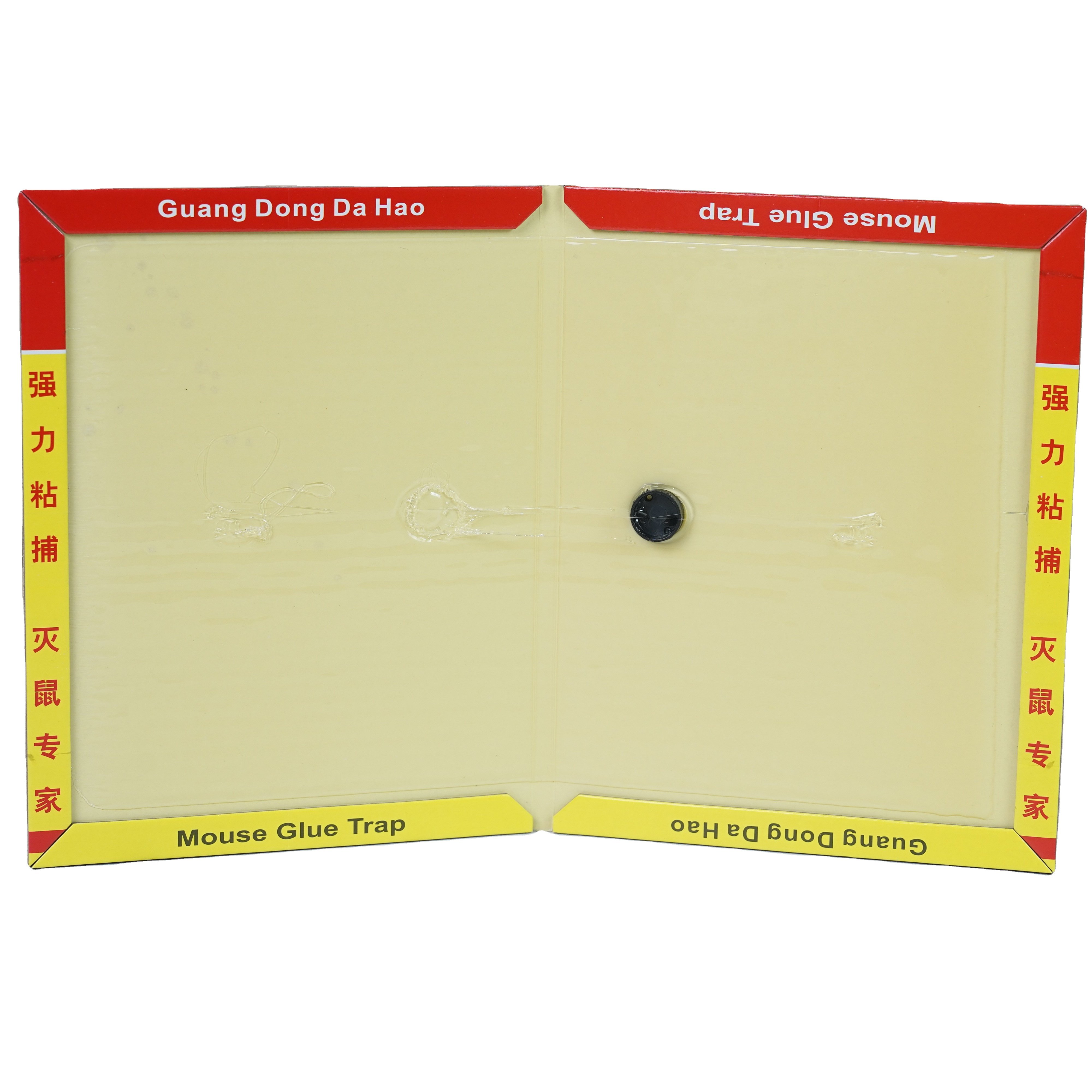 Mouse glue trap in Yi-Wu factory