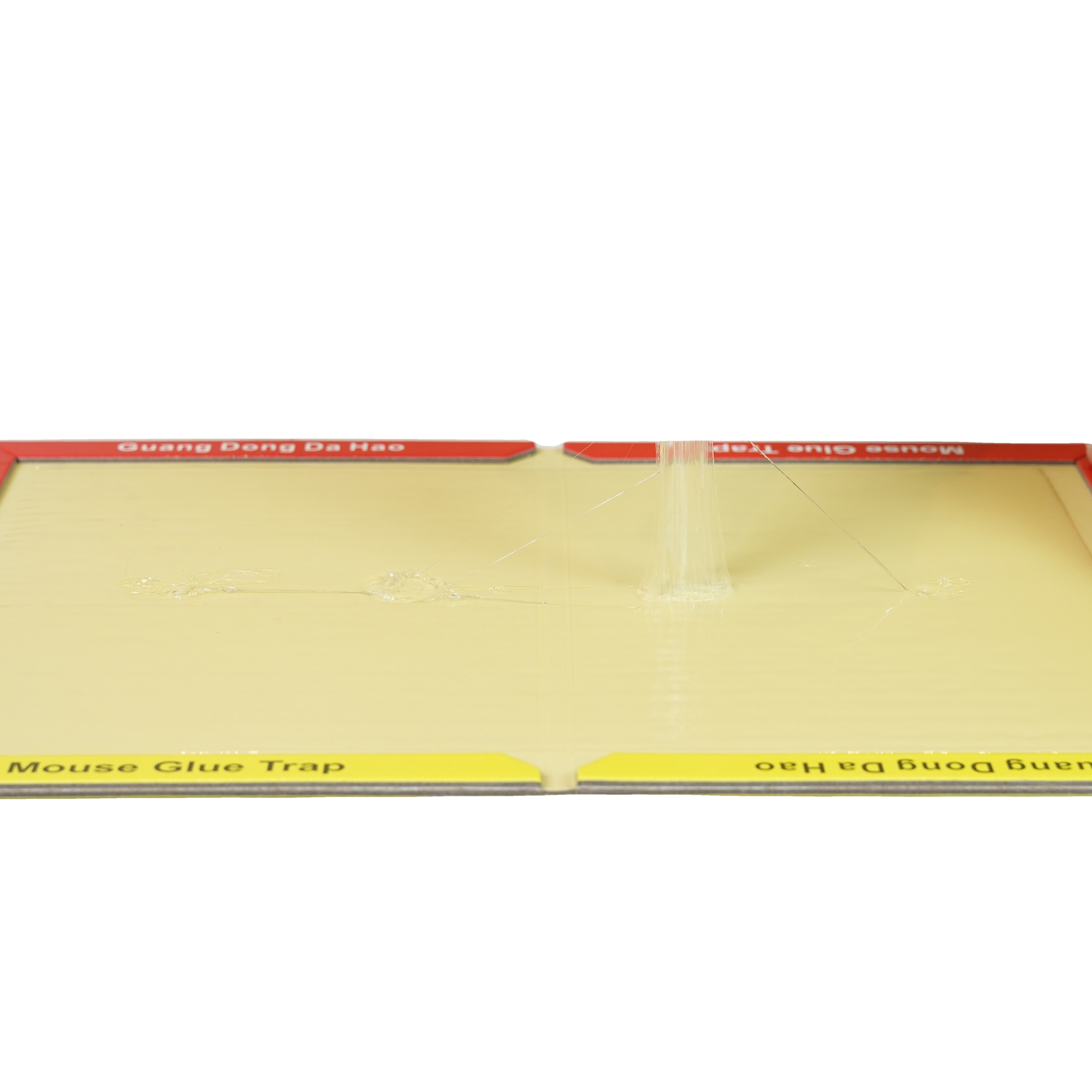 Mouse glue trap in Yi-Wu factory