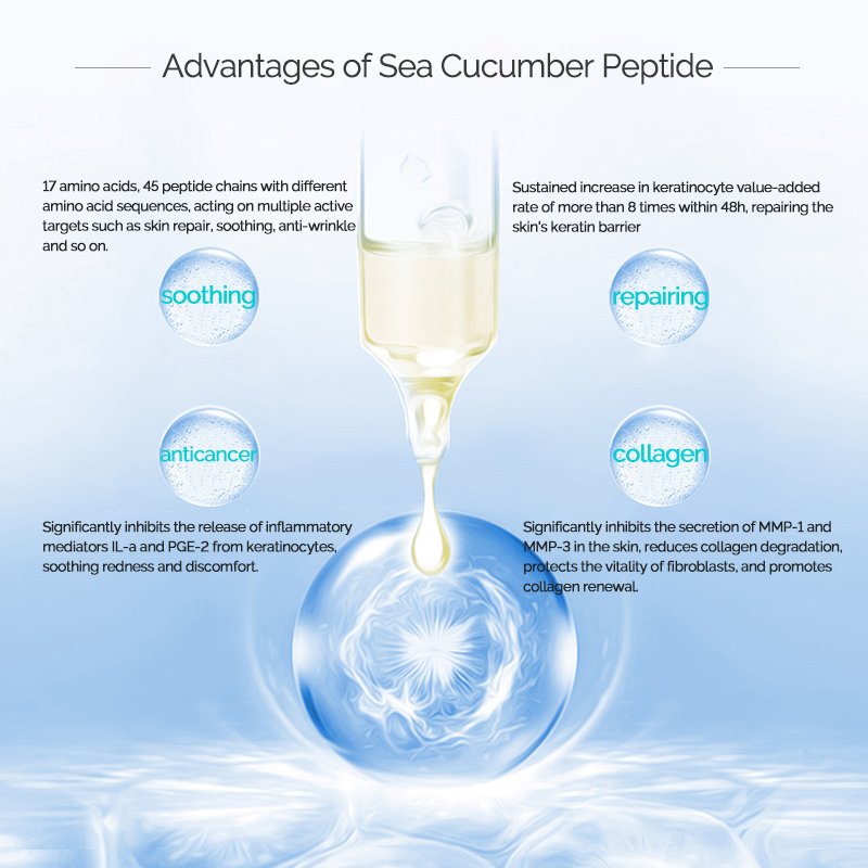 Sea Cucumber Peptide liquid Soothing Moisturizing Cosmetic Raw Material for Daily Chemicals