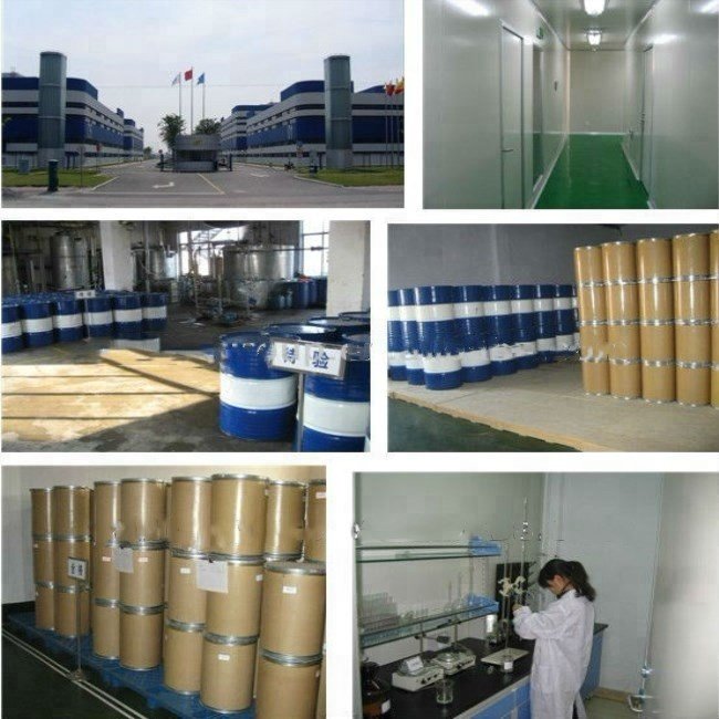 High quality PVP VA64 Copovidone with good ability of dispersibility and film formation in lotion,hair gel,shampoo and cosmetmic