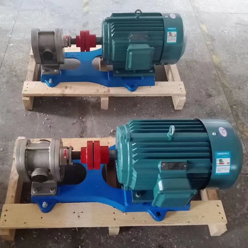 stainless steel gear pump 2.5Mpa pressure crude oil transfer pump 2CY residual oil pump