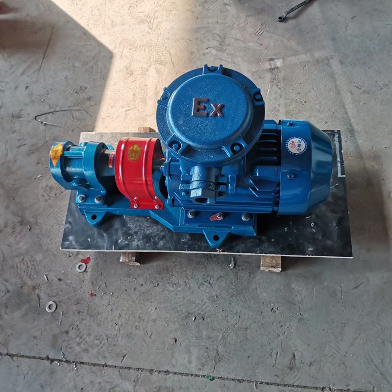 stainless steel gear pump 2.5Mpa pressure crude oil transfer pump 2CY residual oil pump