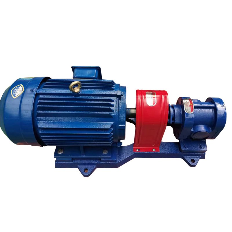 stainless steel gear pump 2.5Mpa pressure crude oil transfer pump 2CY residual oil pump
