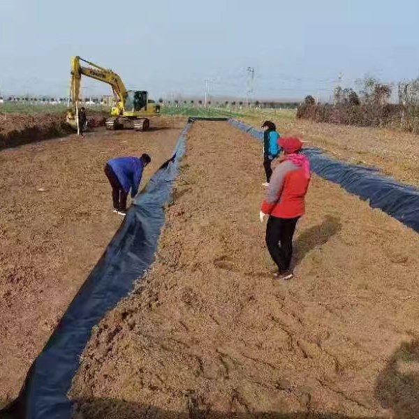 Geomembranes 0.5mm Pond Liner Dam Liner Biodigester Landfill Geomembranas HDPE Geomembrane For Sale With Factory Price