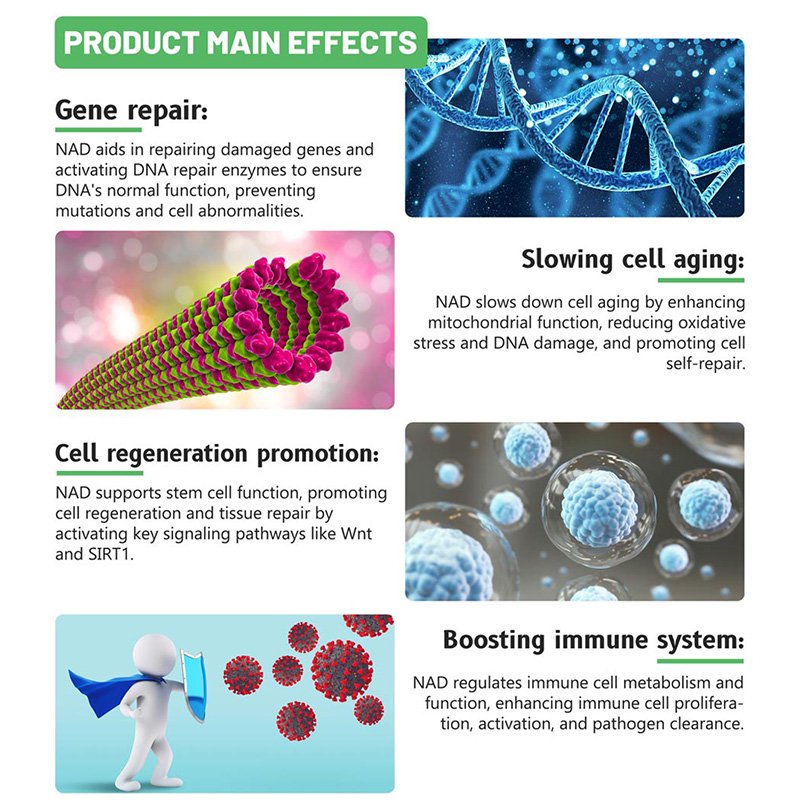 Bulk NAD + powder Nicotinamide Adenine Dinucleotide Supplement Boost metabolism Alleviate fatigue