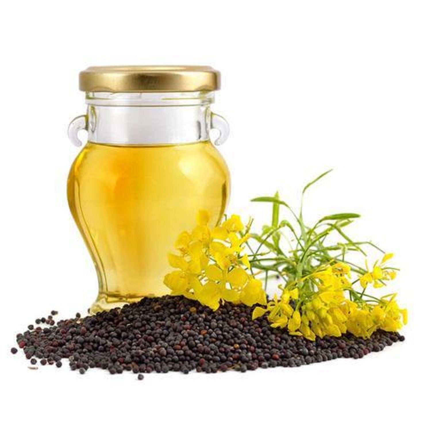 Pure Refined Canola Oil For Sale