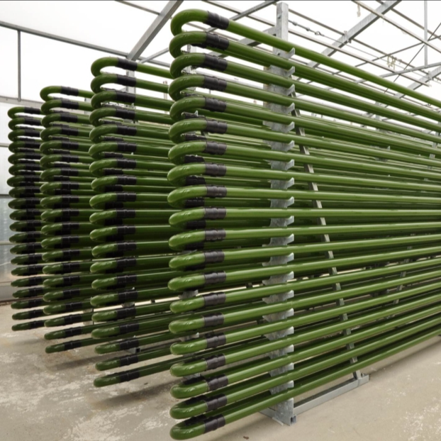 Microalgae photobioreactor tubular reactor for algae