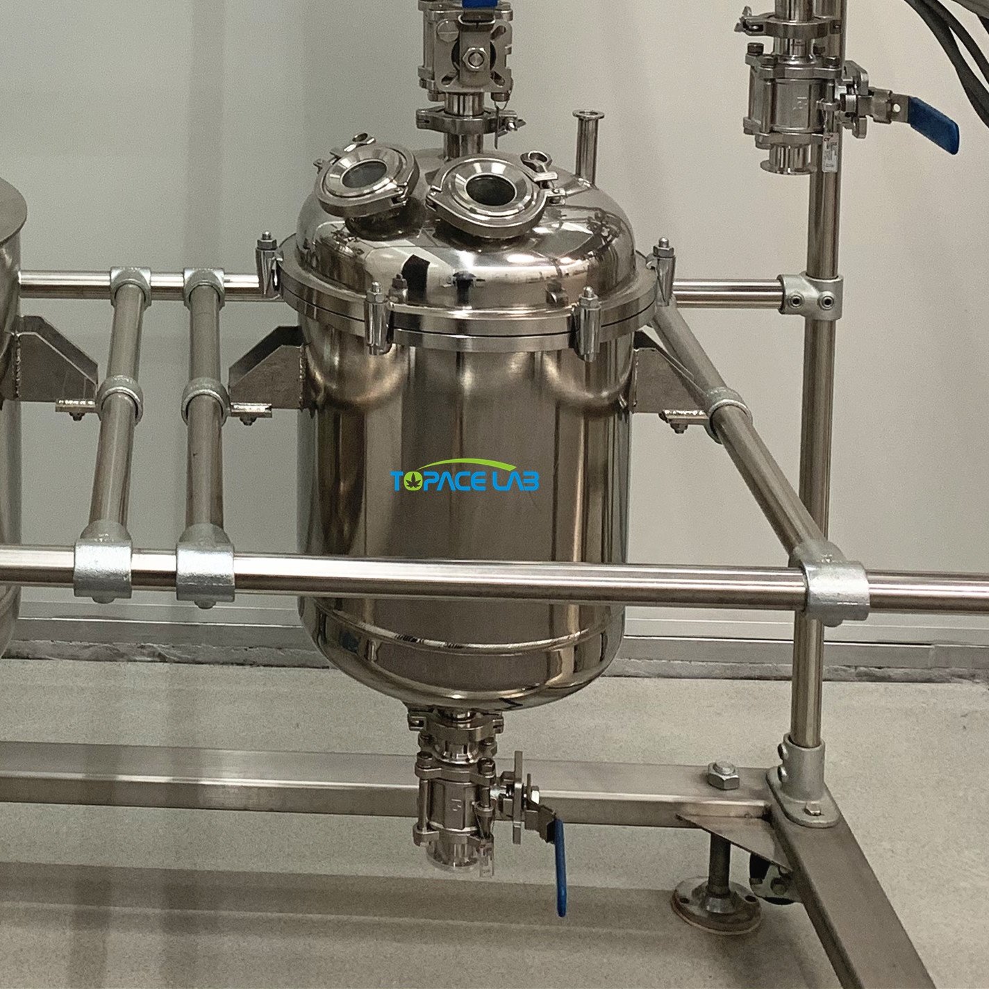 Topacelab 50L100L 200L 300L 500L biodiesel Reactor For Sale Adhesive Glue Production Reactor 316l Stainless Steel Reactor