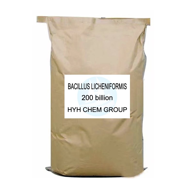 Biofertilizer Bacillus licheniformis 100 billion decomposes organic matter protects seedlings and promotes rooting