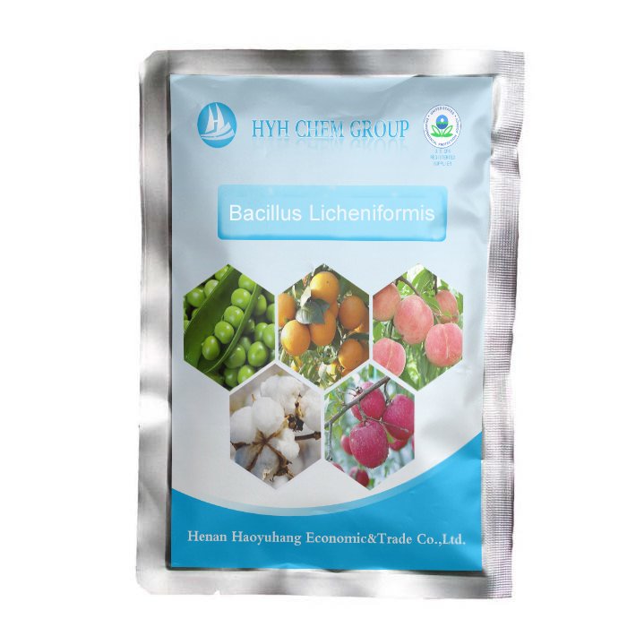 Biofertilizer Bacillus licheniformis 100 billion decomposes organic matter protects seedlings and promotes rooting
