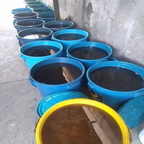 Transforming Waste into Resource Biodiesel from Used Cooking Oil Grade B100 for Vehicle Applications
