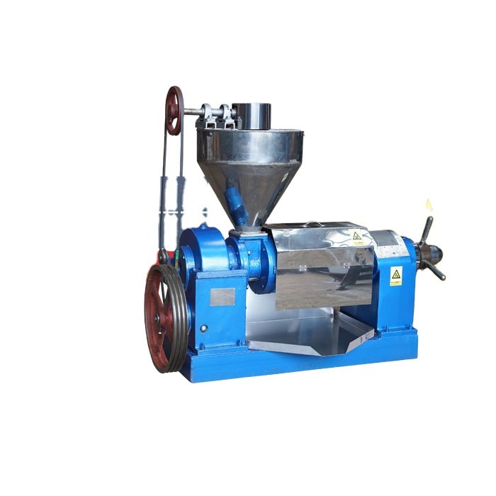 Making biodiesel Oil Uses Screw Oil Press Castor Seeds Oil Expelling Machine