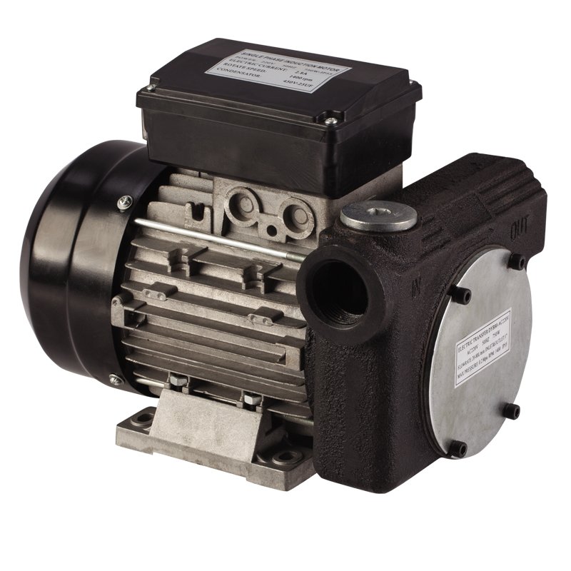 Diesel fuel pump portable 60L/min AC Diesel transfer pump CE certification fuel transfer pump 220v
