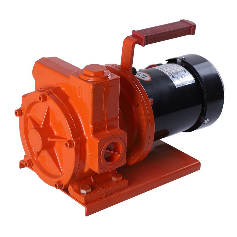 Diesel fuel pump portable 60L/min AC Diesel transfer pump CE certification fuel transfer pump 220v