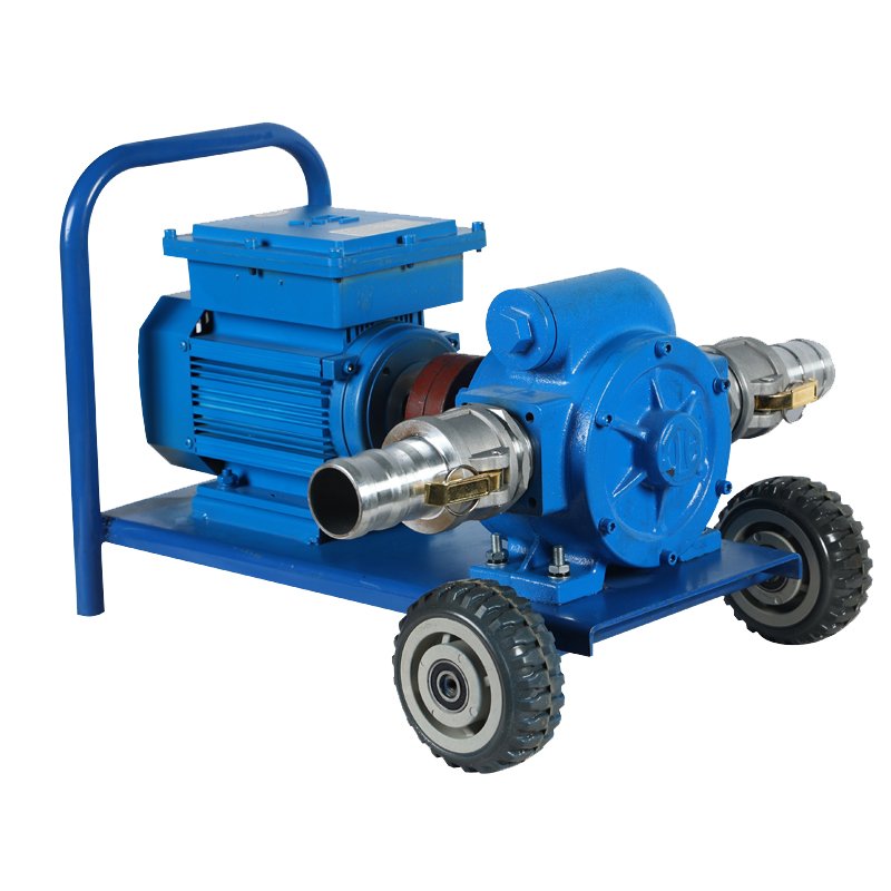 Diesel fuel pump portable 60L/min AC Diesel transfer pump CE certification fuel transfer pump 220v