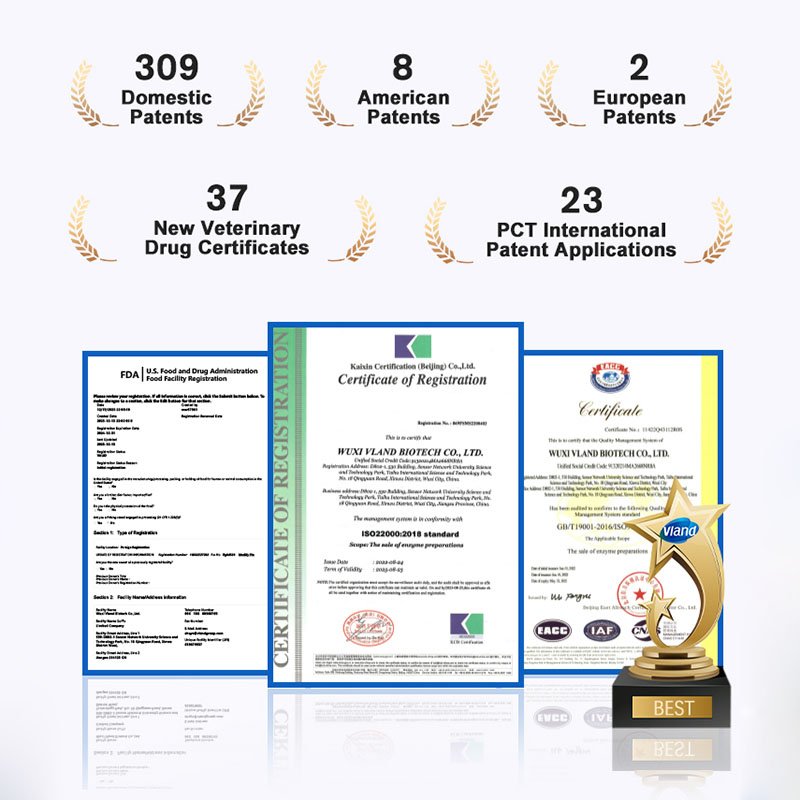 FM-10 Lipase Enzymes 100000 U/g for Biodiesel Production Industrial Enzymes CAS 9001-62-1