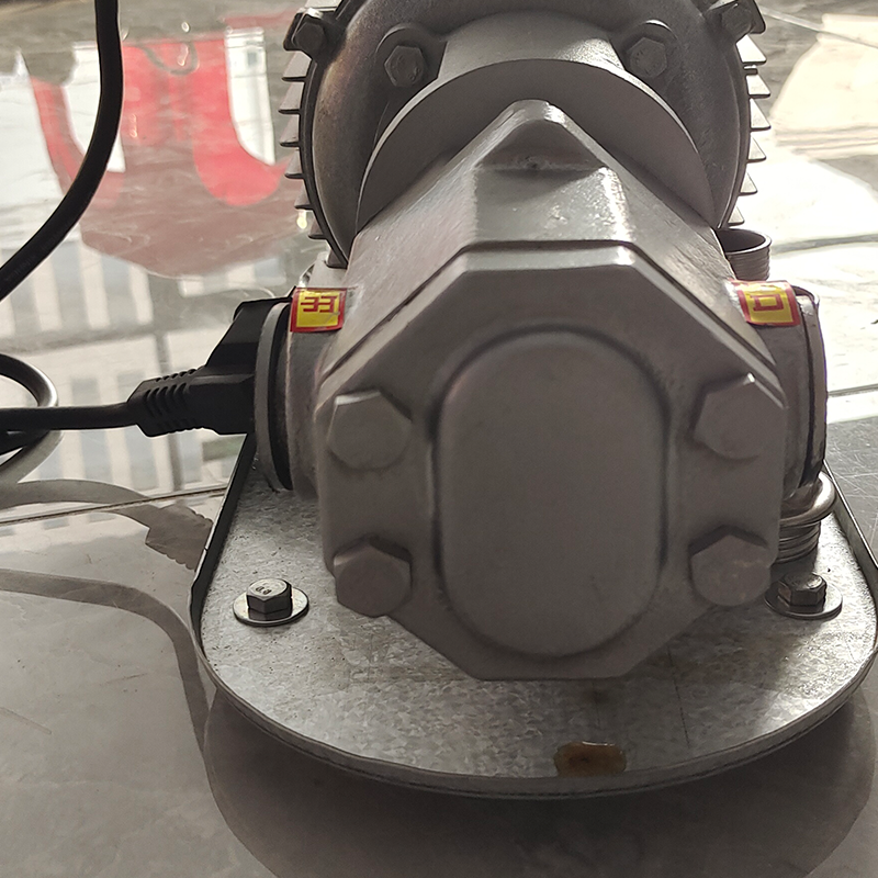 WCB series portable gear oil pump for sale/High Quality Gear Pump For Fuel Oil Pump Dispenser/diesel pump