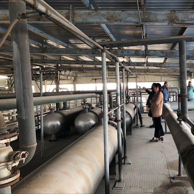 EU standard biodiesel refinery processing esterification equipment machine