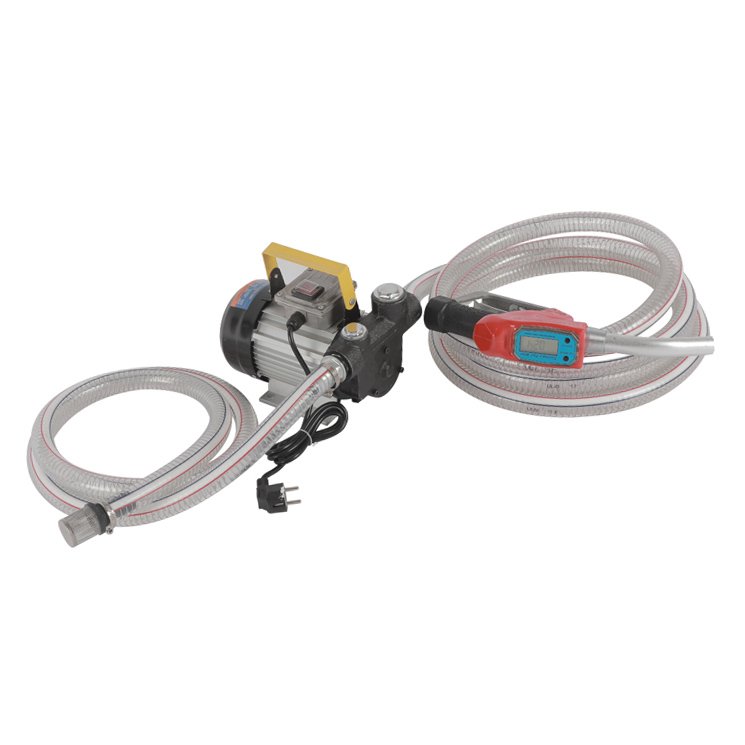 Electric Diesel Fuel Transfer Pump 220V Diesel Oil Refueling Pump Kit With Fuel Dispenser Nozzle and Suction/Delivery Hose
