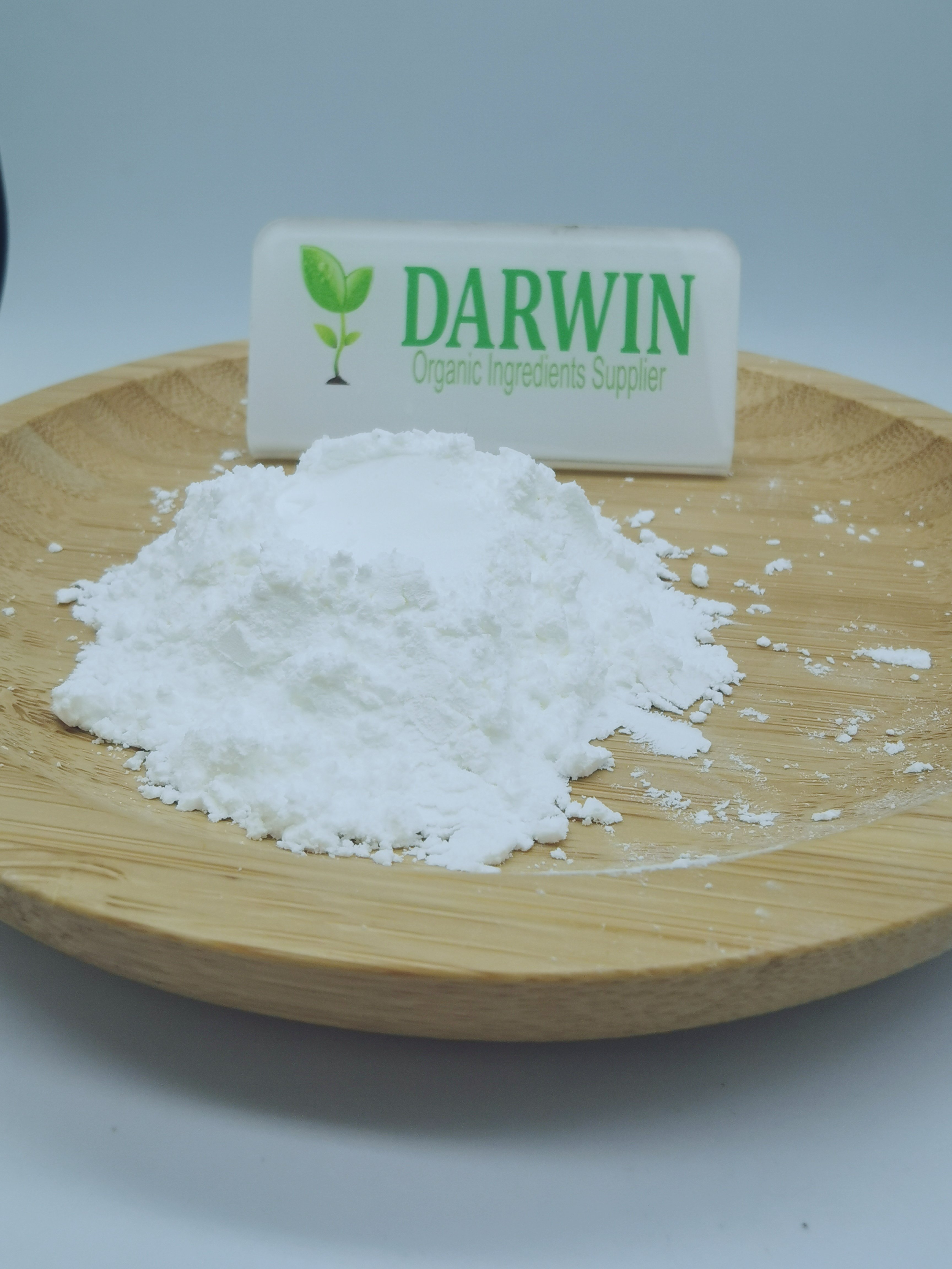 high quality supplements wheat germ extract 1% 99% Spermidine Hydrochloride Powder
