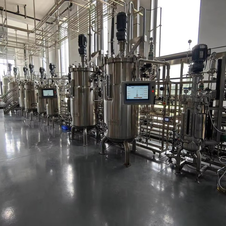 EU Standard High Quality 50L-500L-5000L-15000L Stainless Steel Bioreactor BLBIO 50-500-5000-15000SJ For Industrial Manufacturing