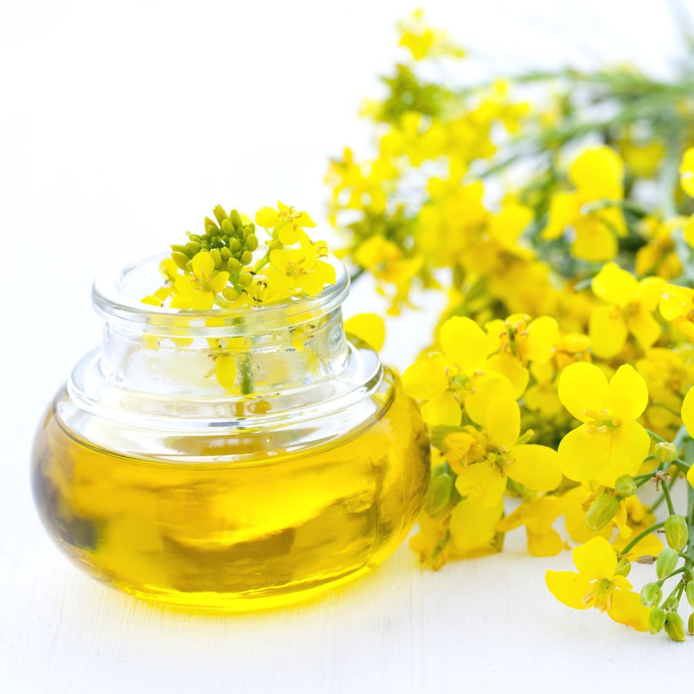 Organic Refined Rapeseed Oil Canola Oil
