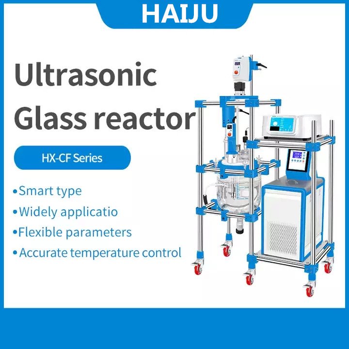 HAIJU LAB 5L 10L 20L 50L 100L Ultrasonic Glass Reactor Ultrasonic Biodiesel Reactor