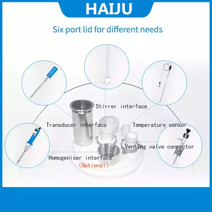 HAIJU LAB 5L 10L 20L 50L 100L Ultrasonic Glass Reactor Ultrasonic Biodiesel Reactor