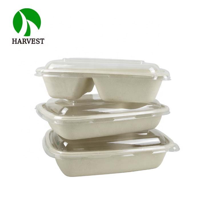 square Sustainable Biodegradable Eco Friendly Food Packaging