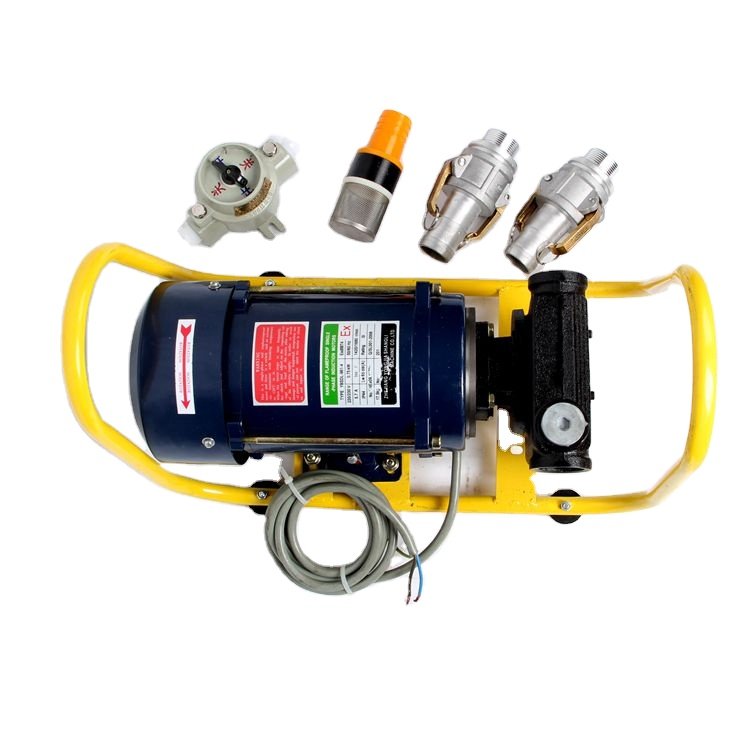 Explosion Proof Oil Pump with Rack High Quality 220V Electric Gear Pump OEM FUEL Transfer Portable Gear Pump for Waste Oil /