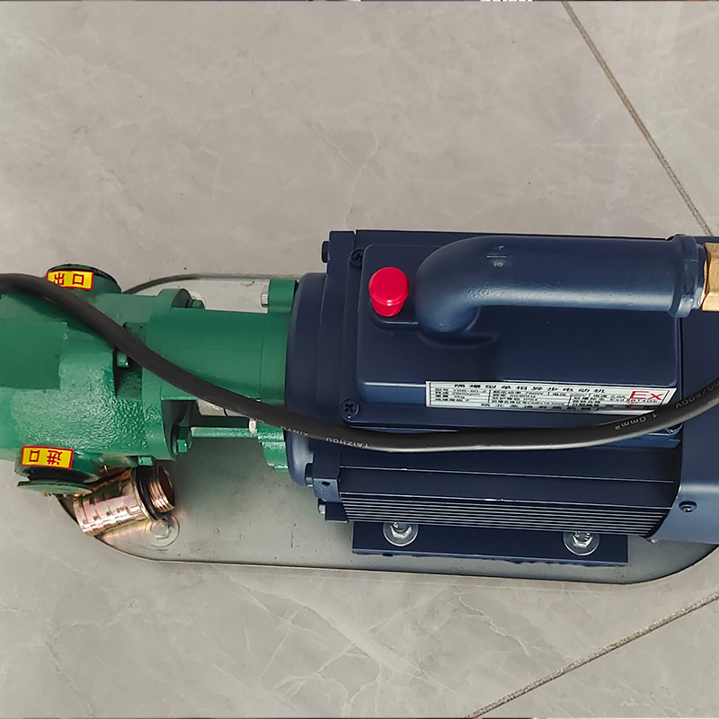 WCB series portable gear oil pump for sale/High Quality Gear Pump For Fuel Oil Pump Dispenser/The petrol pump