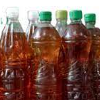 Plant Sale Used Cooking Oil for Biodiesel Plant Machinery Training Medical Industrial Performance Food Origin Vacuum Stable View