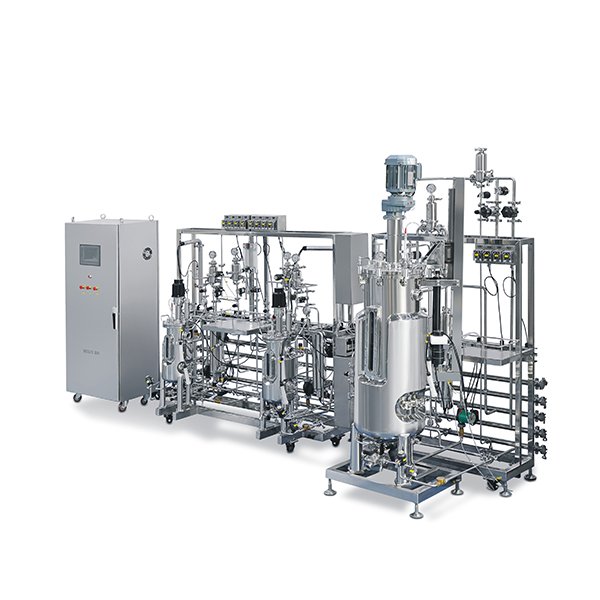 Bioreactor Culture Of Bacteria 10 Liters biodiesel Production Machine BLBIO-SJA