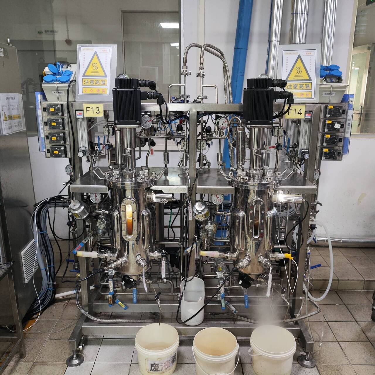 Bioreactor Culture Of Bacteria 10 Liters biodiesel Production Machine BLBIO-SJA