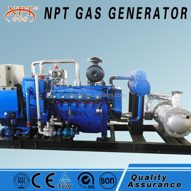 100kw Natural/biogas/biomass Gas Generator Power Plant