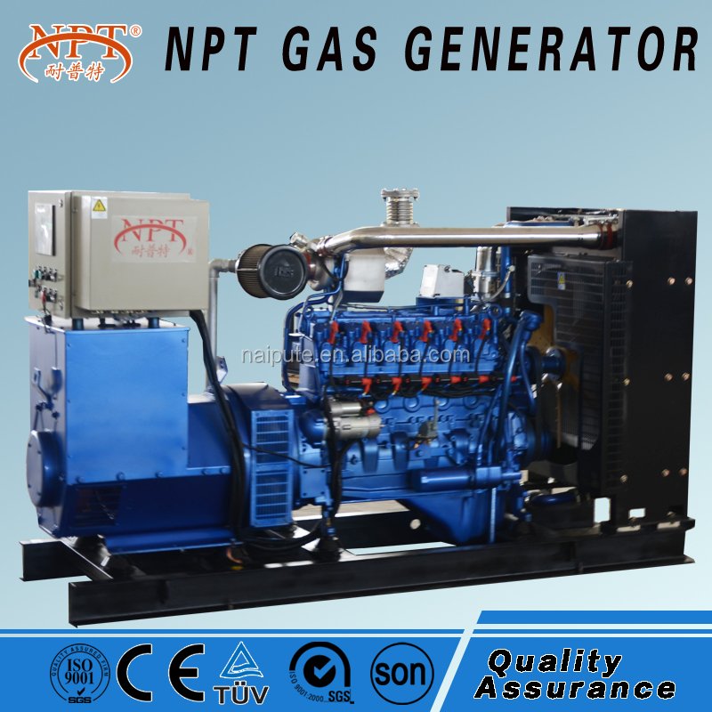 100kw Natural/biogas/biomass Gas Generator Power Plant