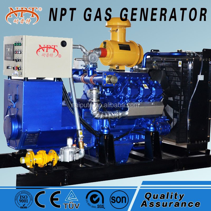 100kw Natural/biogas/biomass Gas Generator Power Plant
