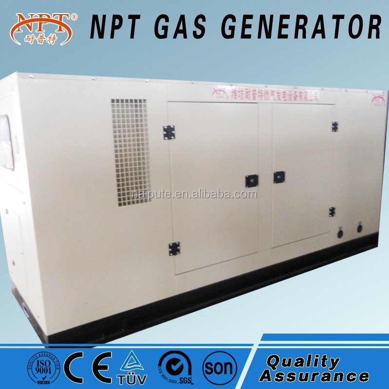 100kw Natural/biogas/biomass Gas Generator Power Plant