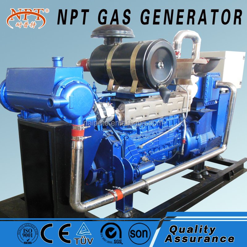 100kw Natural/biogas/biomass Gas Generator Power Plant