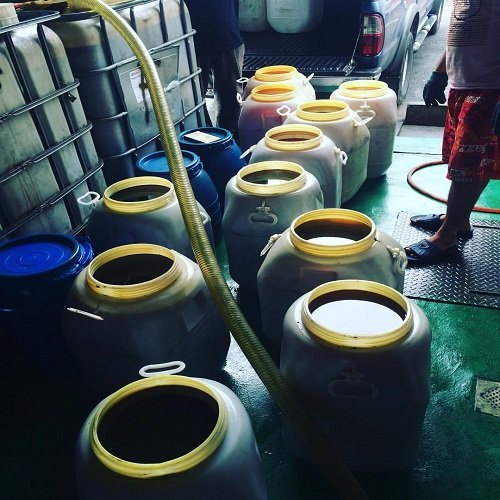 Sustainable Agriculture Solution UCO's Role in Biodiesel Production for Vehicle Use and Palm Oil Integration