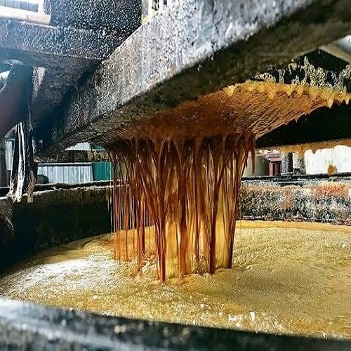 Sustainable Agriculture Solution UCO's Role in Biodiesel Production for Vehicle Use and Palm Oil Integration