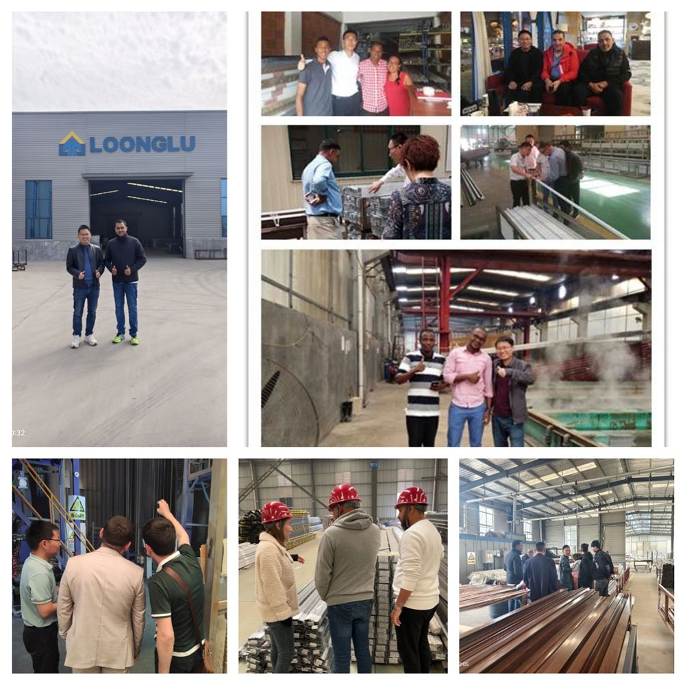 Aluminum Profiles Manufacturer Anodized Doors Profiles Aluminum Powder Coated Custom Windows Aluminum Profiles
