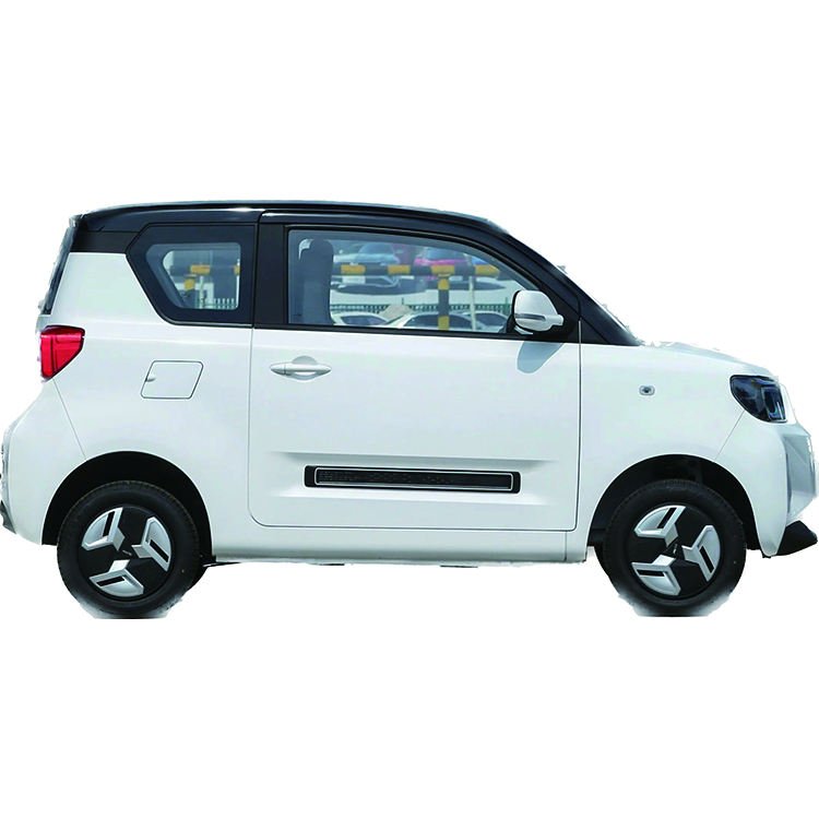 Baic manufactures ingots Pure electric car Mini Ingot Minicar 2 seat electric car for adult fast