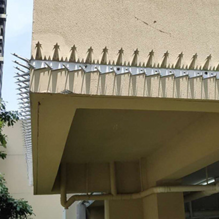 Waterproof Galvanized Anti-Climbing Security Fence with Razor Wall Spikes Iron Barbed Wire for decorative wall spikes