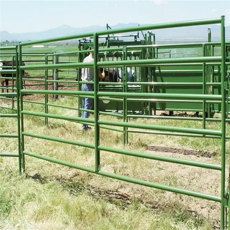 au cattle yard panel mesh filled cattle panel cattle yard gate panel