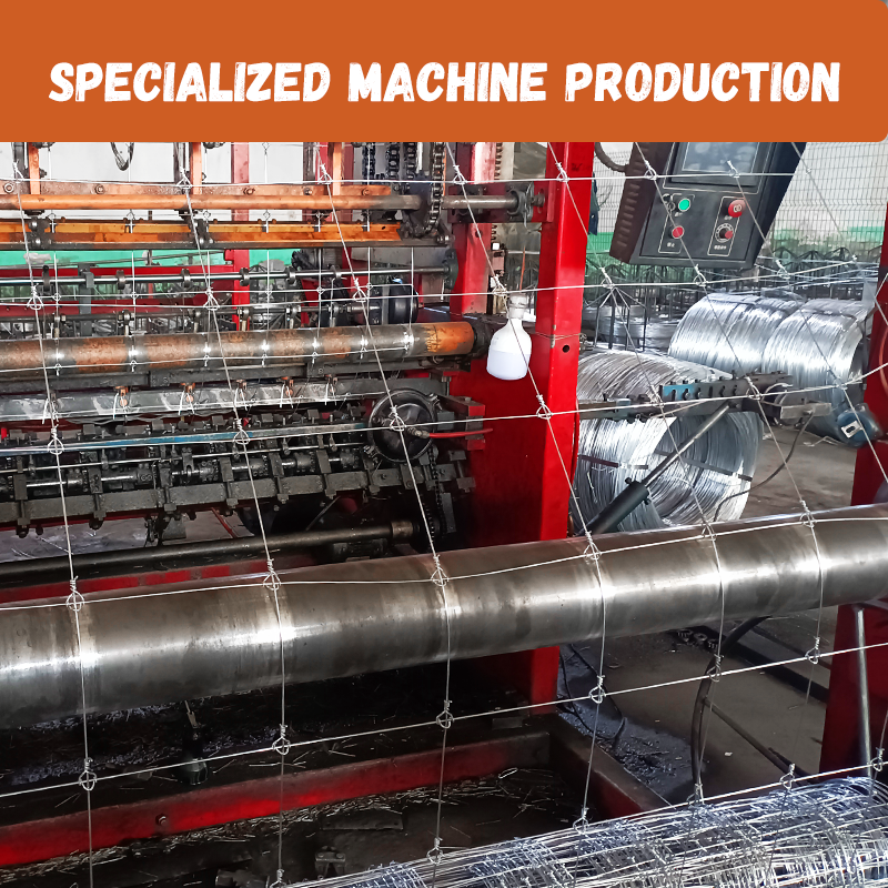 High Tensile Hot-Dipped Galvanized Steel Wire Mesh 1.0/1.2/2m Height & 50m Length for Livestock Farm Cattle Fence for Security