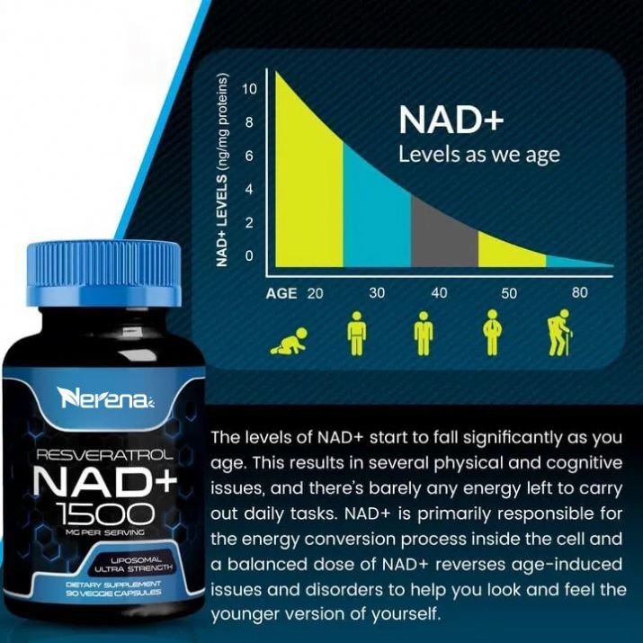 OEM Ultra Liposomal NAD+ Resveratrol NAD Plus Enhancer Supports Cellular Health Endurance Zinc Selenium Capsules